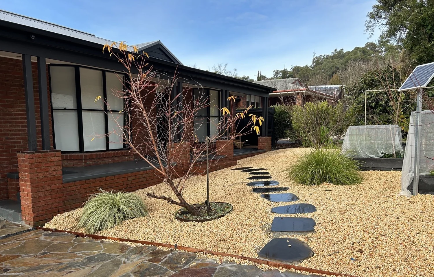Front garden with stepping-stone path through gravel, native grasses and a feature tree