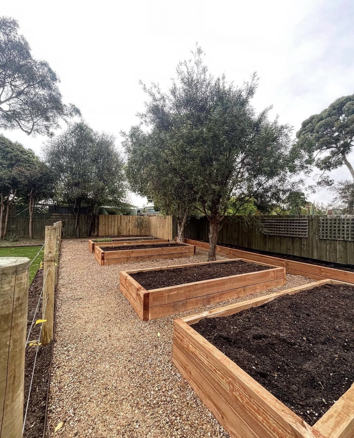 Timber raised vegetable garden beds with gravel paths in a backyard