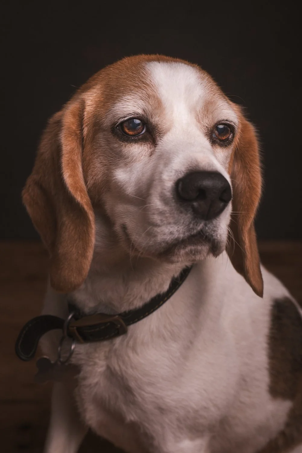DSC8113-Edit.jpg