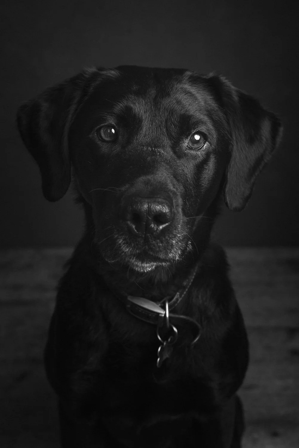 DSC8164-Edit (1).jpg