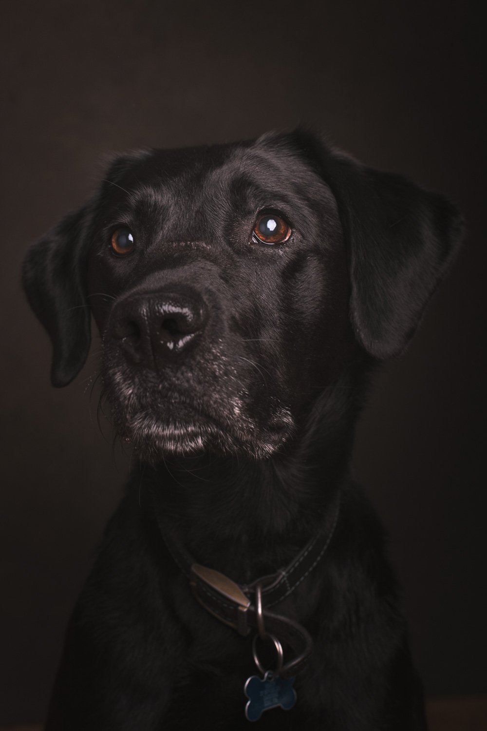 DSC8151-Edit.jpg