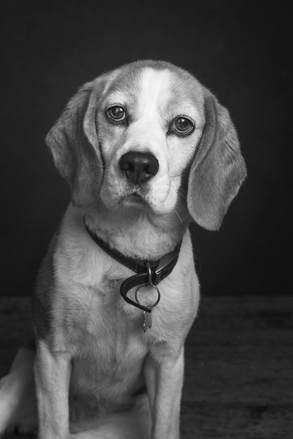 DSC8171-Edit (1).jpg