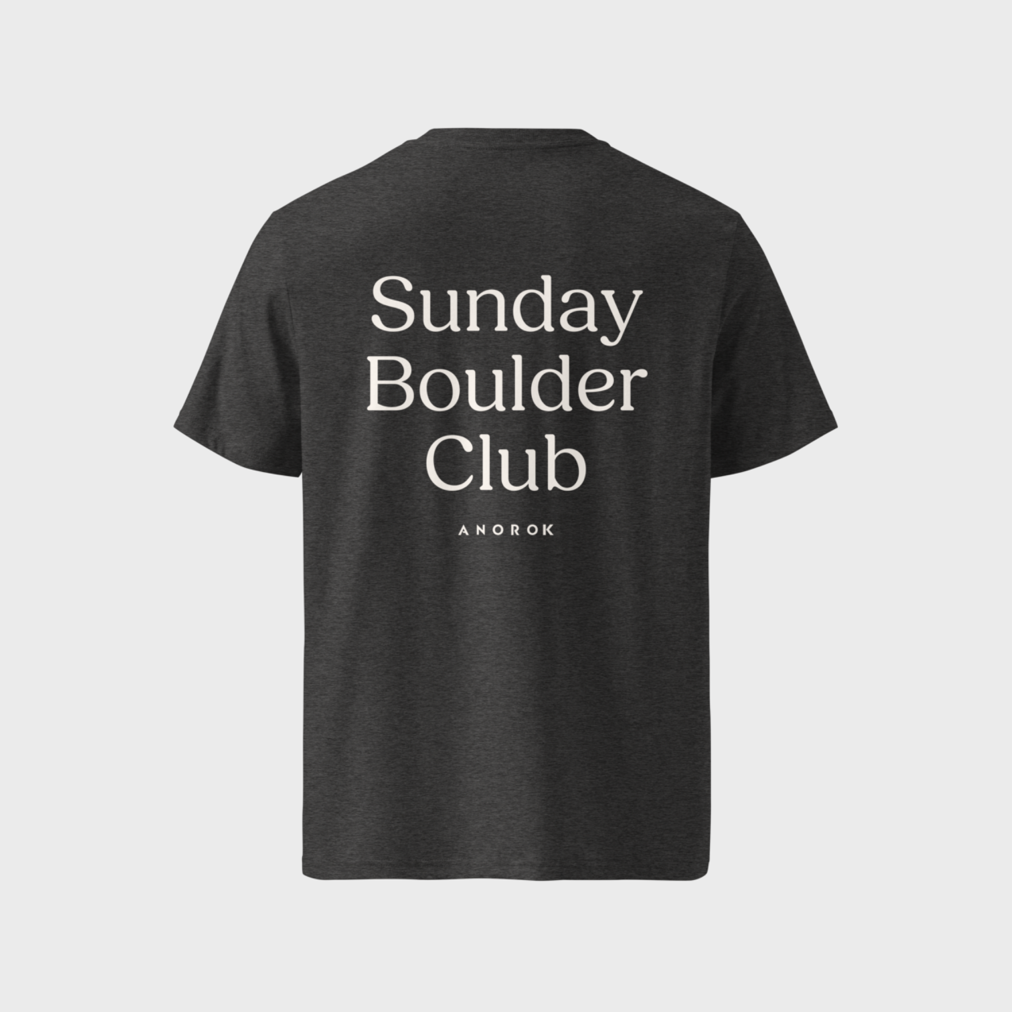 Sunday Tshirt Dark Heather Back.png