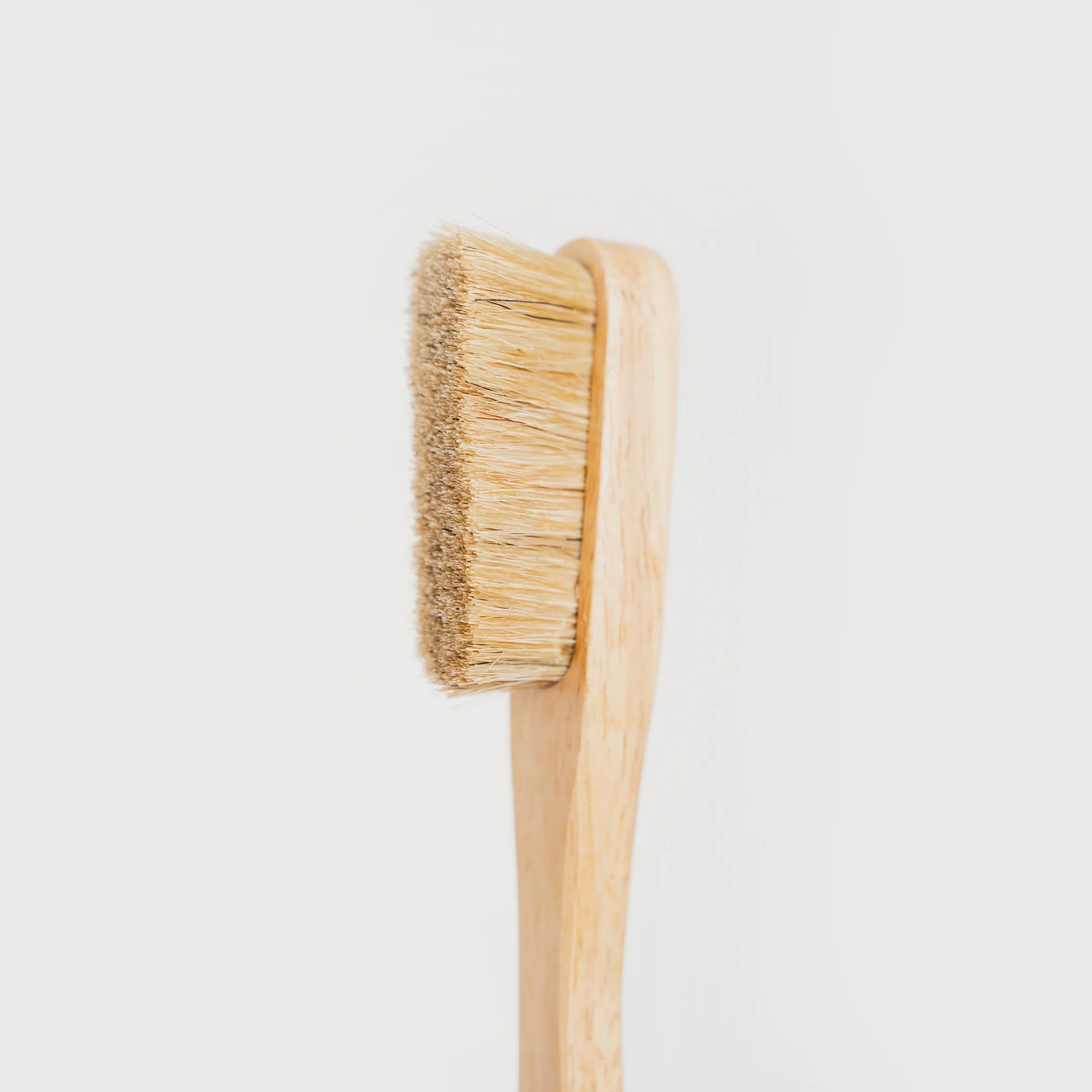 Anorok Brush.jpg