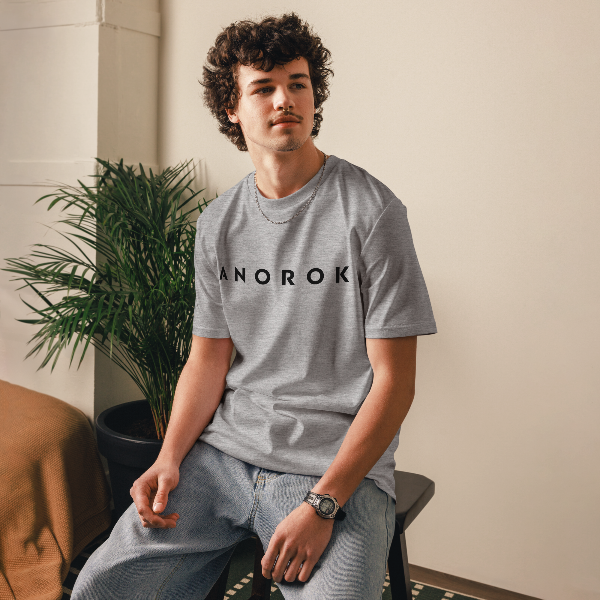 Anorok Organic Cotton Tee Grey Scene.png
