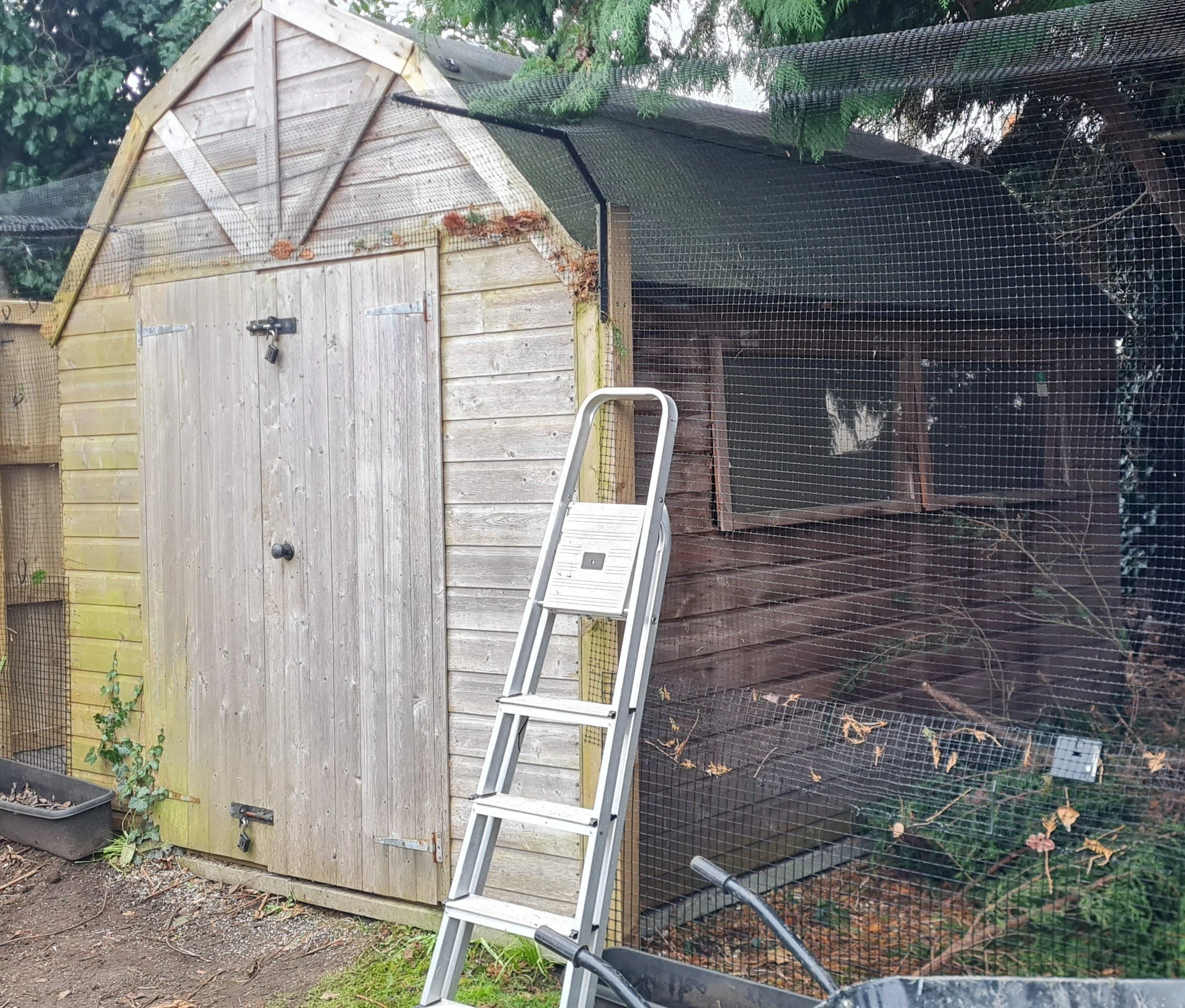 ShedSeat2.0.jpg