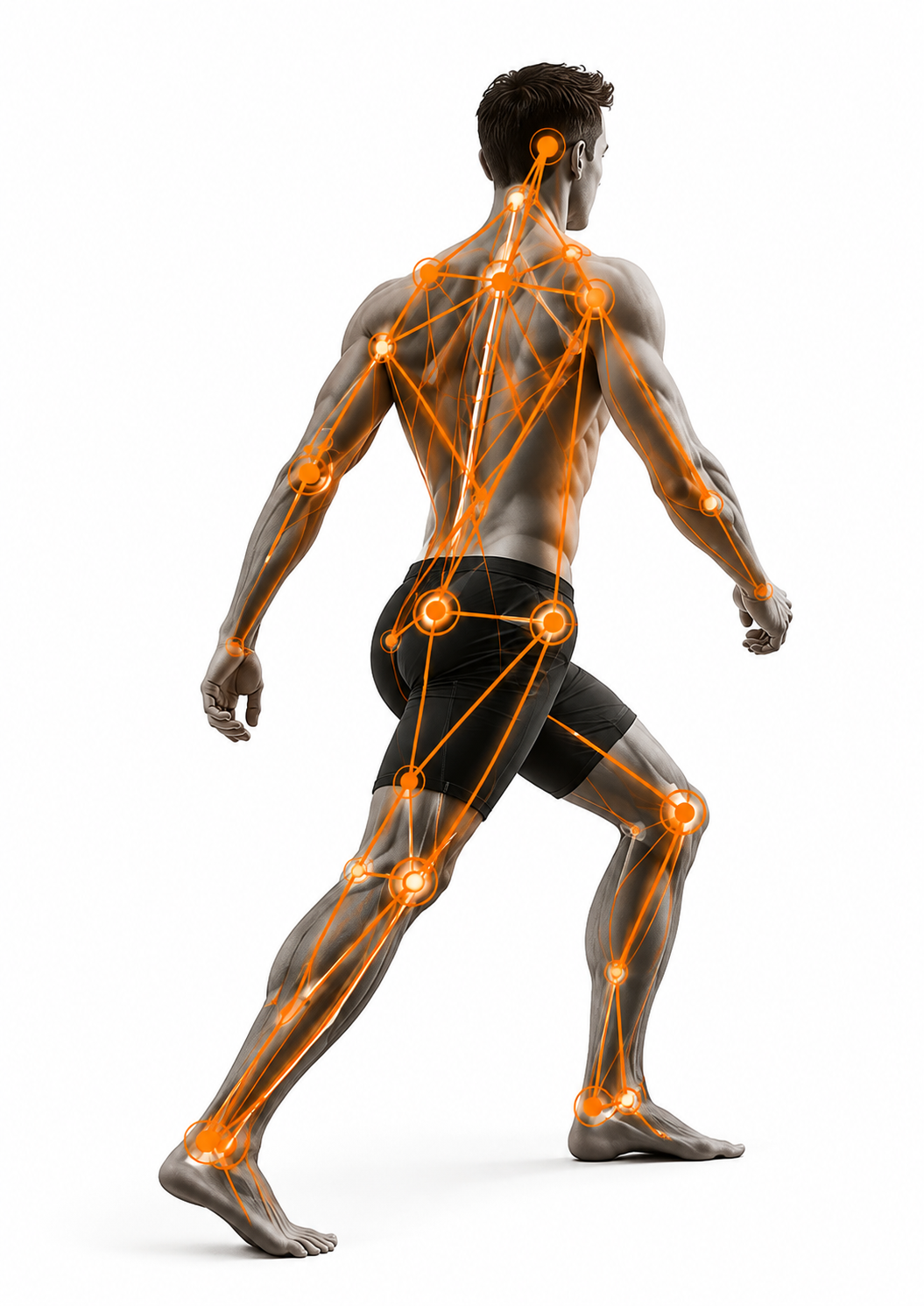 Image showing a man standing with lines representing tensegrity example - the body as an interconnected system. Posture and biomechanics.