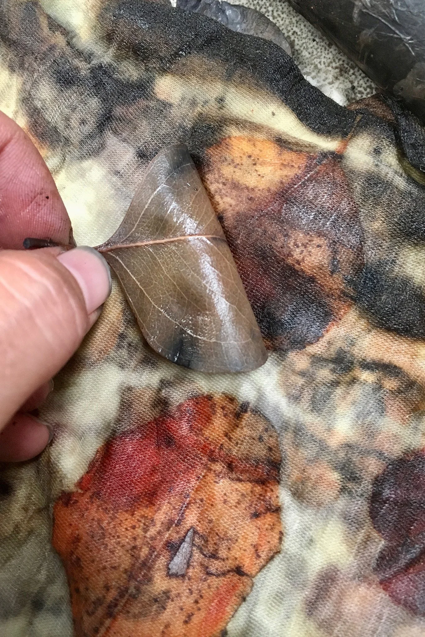 Term 3: Natural Dyeing and Printing (6 Weeks Short Course)