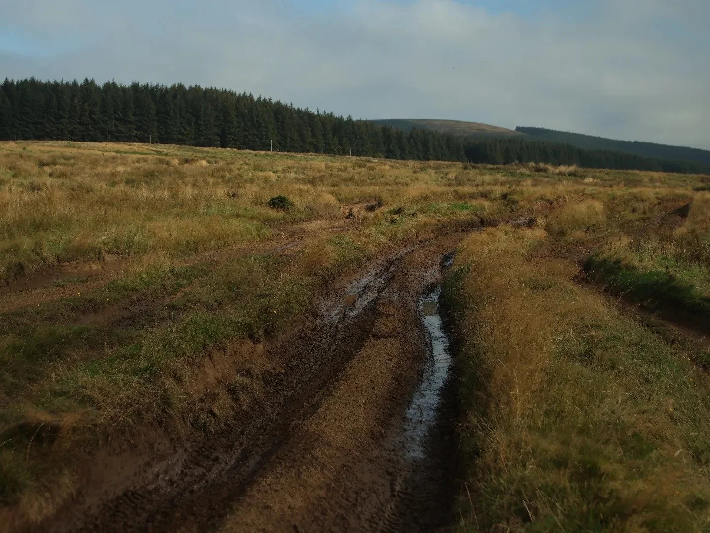 Drumclog Off Road 01.jpg