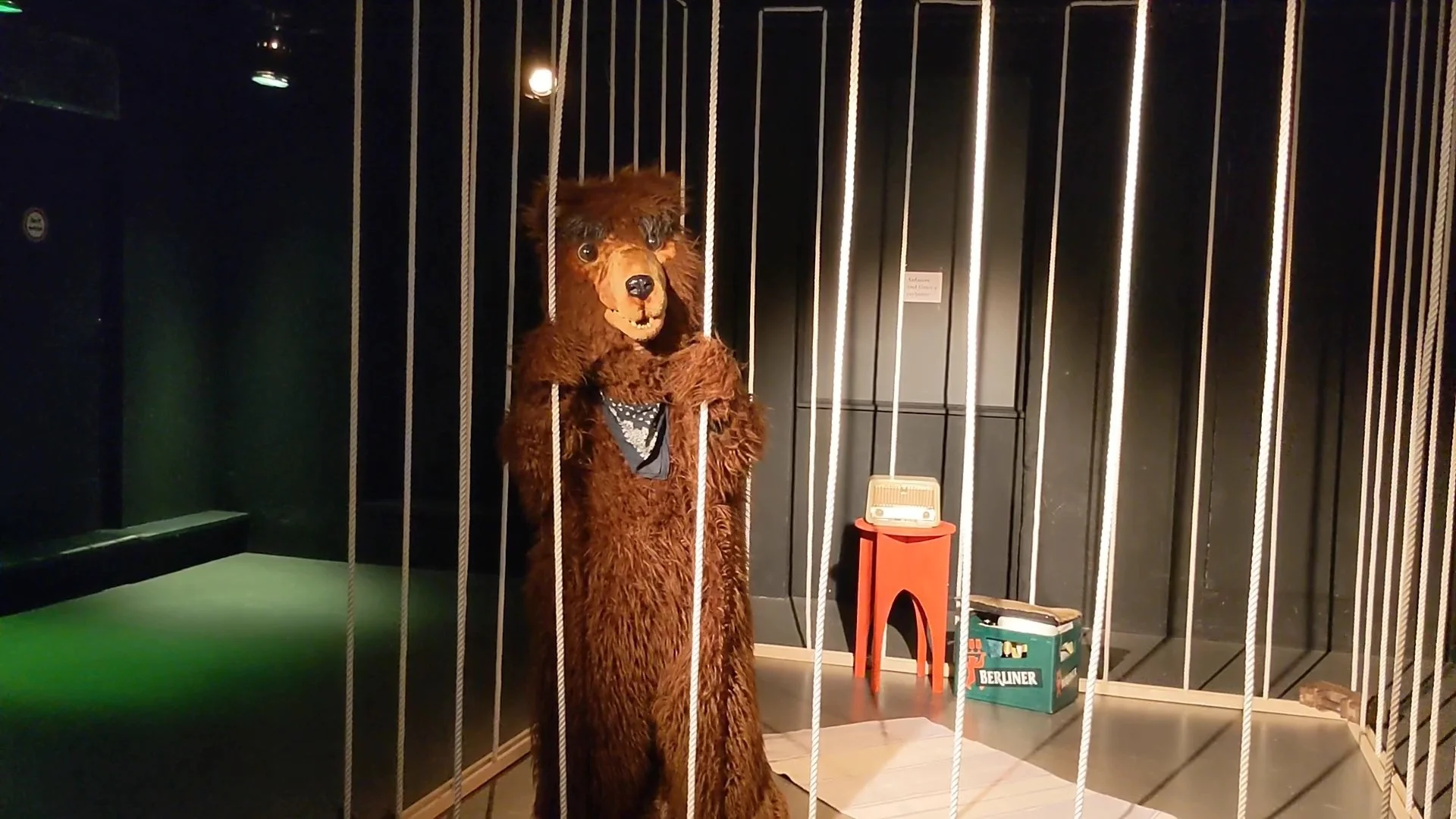 Photo of Lena Binski from Why Not the Bear?