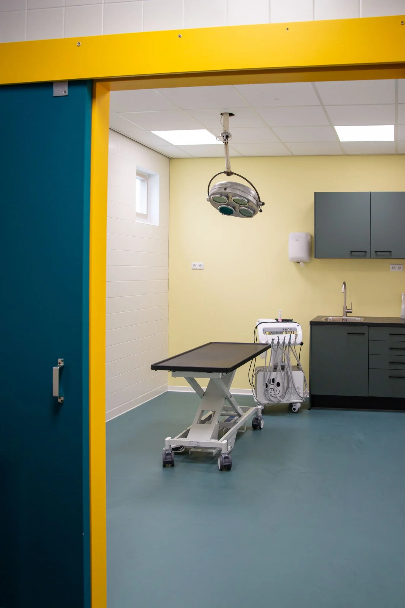 7-11 Dierenkliniek Kahu (21) (2).jpg