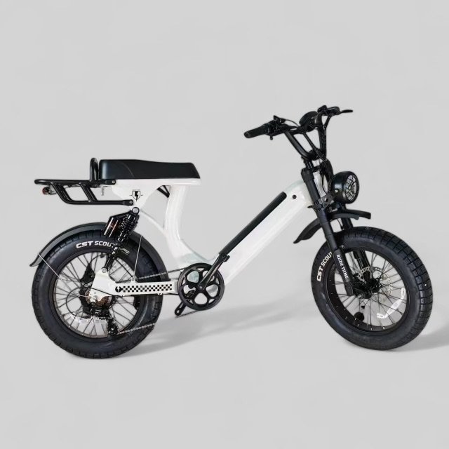 RTC-e-bike-1.jpeg