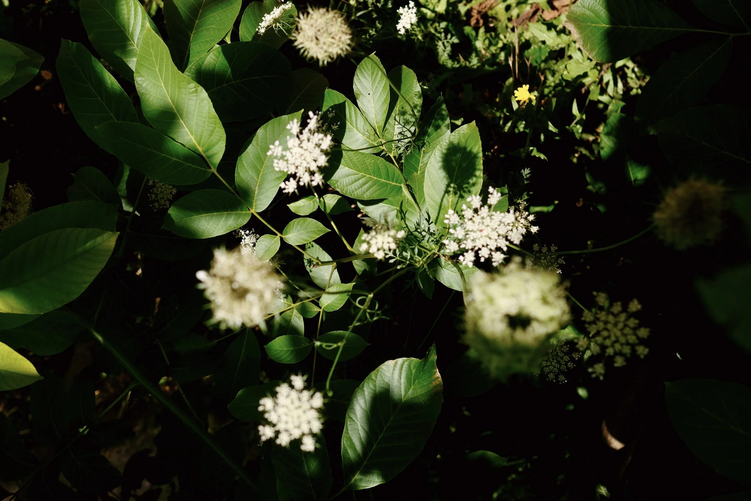 It’s not your screen. It’s your pace.