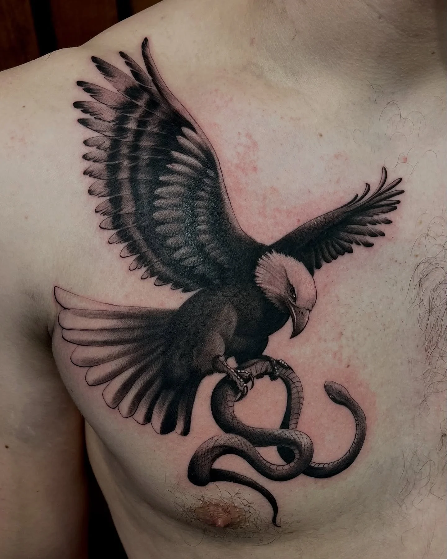 The classic fight
Black work eagle freehand snake 
3 / 4 hours session. Thank you!
Dm for a tattoo appointment 
@tattoo_birdy_ijmuiden 
@house_of_ronin_tattoos 

#tattoo #eagle #blackwork #alkmaar