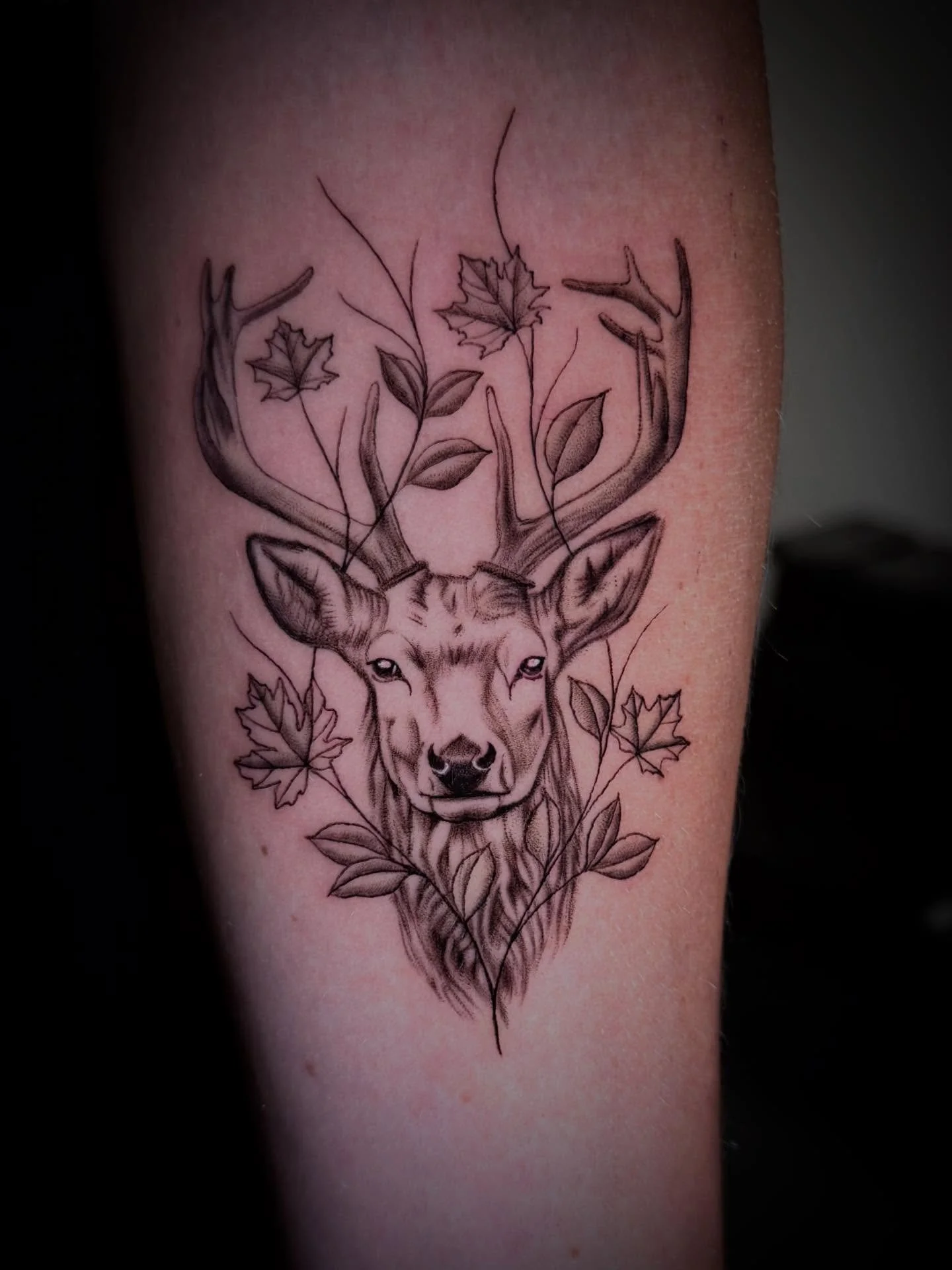 Edelhert voor @linda.metzelaar 🦌🍁🍂

#finelinetattoo #floraltattoo 
#mandala #ornamental #tattooshopalkmaar #alkmaar #tattoo #houseofronintattoos #tattoos #noordholland #dutchtattoo #tattoonederland #tattoocentre #alkmaartattoo #design #tattoos_of_