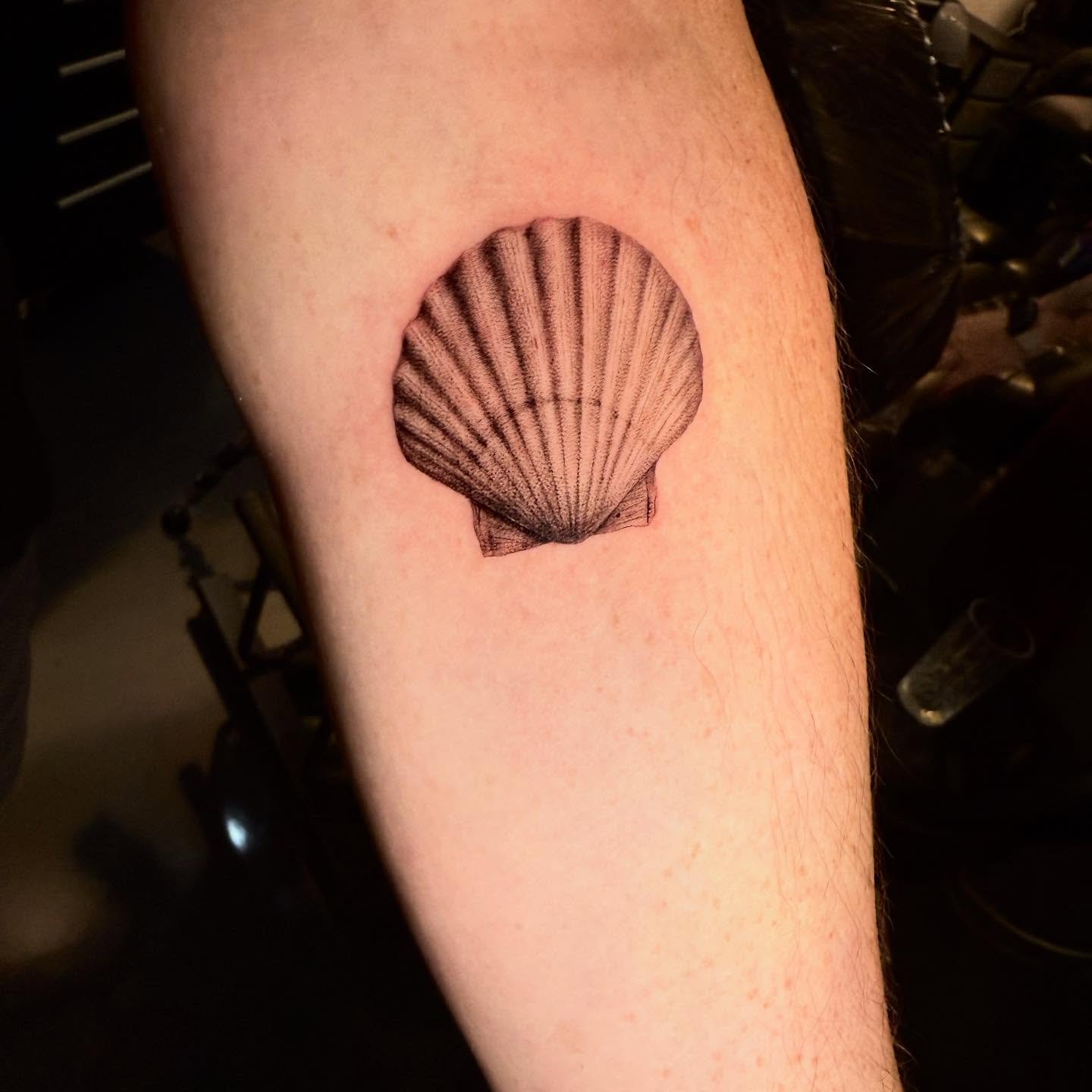 Little Shell from last week! 🐚

#finelinetattoo #floraltattoo 
#mandala #ornamental #tattooshopalkmaar #alkmaar #tattoo #houseofronintattoos #tattoos #noordholland #dutchtattoo #tattoonederland #tattoocentre #alkmaartattoo #design #tattoos_of_instag