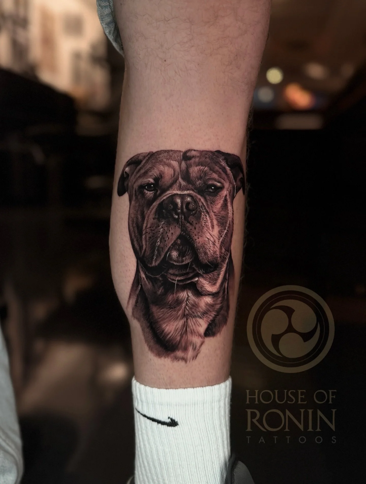 Got to tattoo @bradleysap1998 his dog &lsquo;Hooch&rsquo; yesterday on his inner calf.

#tattoo
#tattoos
#tattooart
#tattooartist
#tattooideas
tattooinspiration
tattoolife
realismtattoo
realistictattoo
blackandgreytattoo
tattoorealism
portraittattoo
