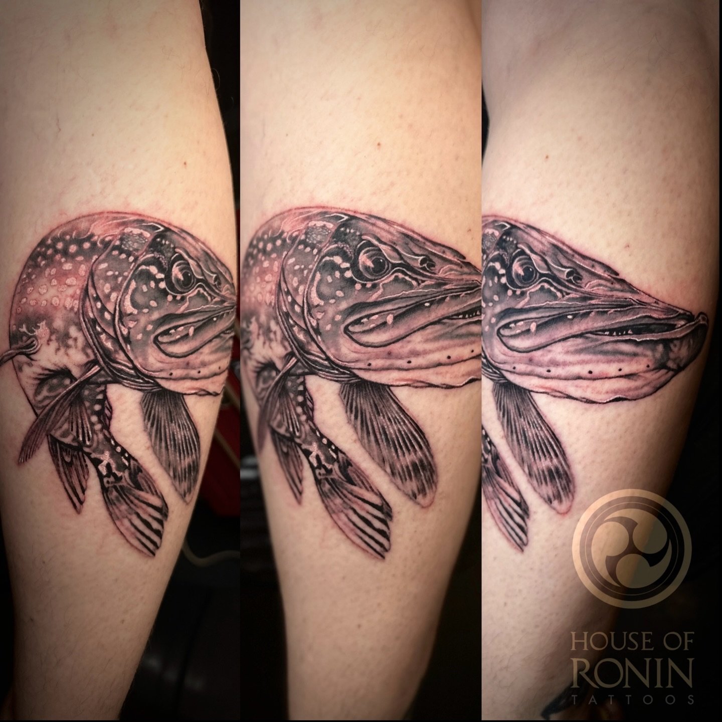 Pike on Jutka
#tattoo #fish #fishtattoo #piketattoo #realistictattoo #blackandgreytattoo #fineline #detailedtattoo #tattooart #inked #tattoodesign #tattooshop #tattooinspiration #customtattoo #HouseOfRoninTattoos #AlkmaarTattoo #dutchartist #tattooar