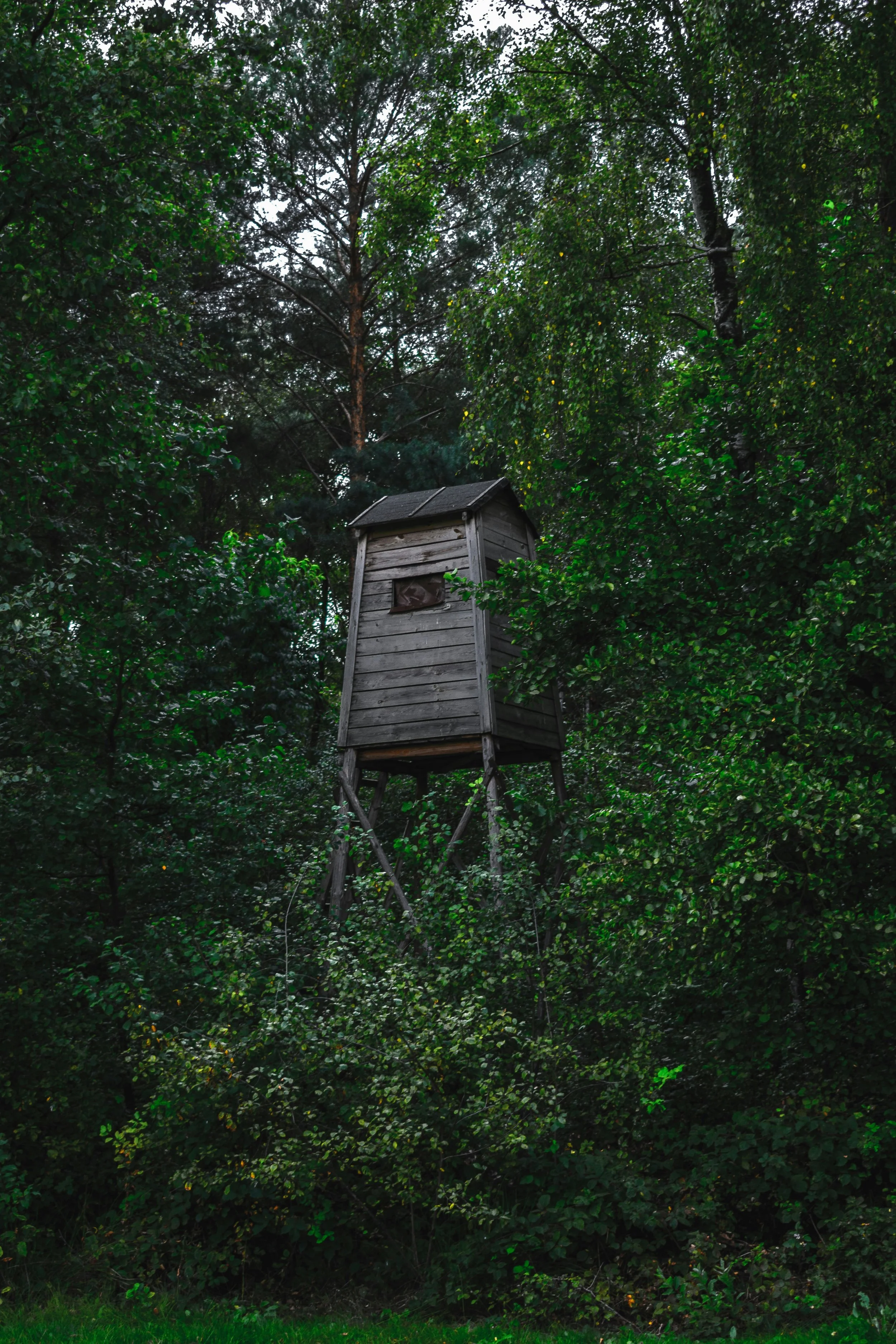 mateusz-buda-hBZkGJZHEXU-unsplash.jpg