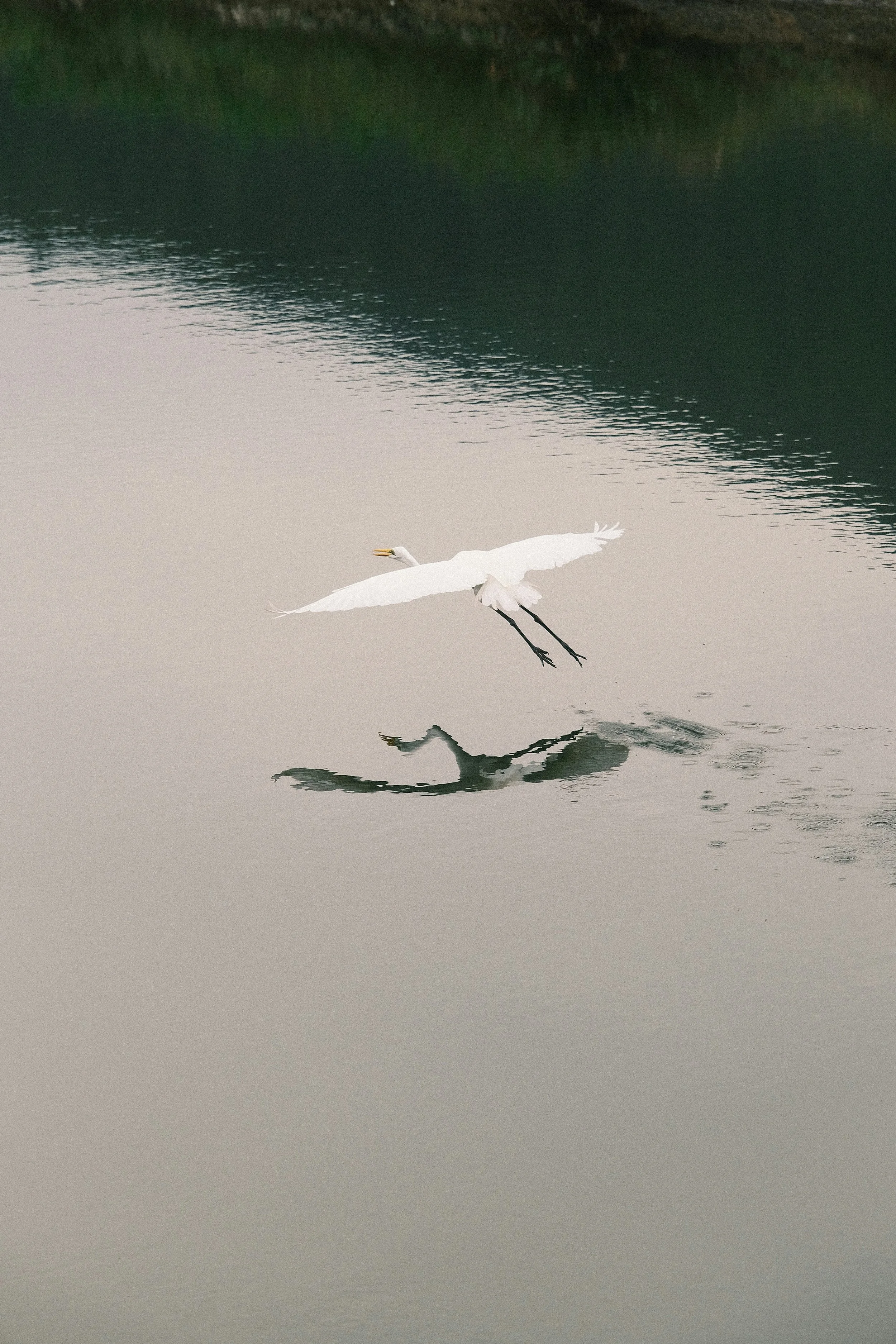yue-wu-YWZ9FQryxXI-unsplash.jpg