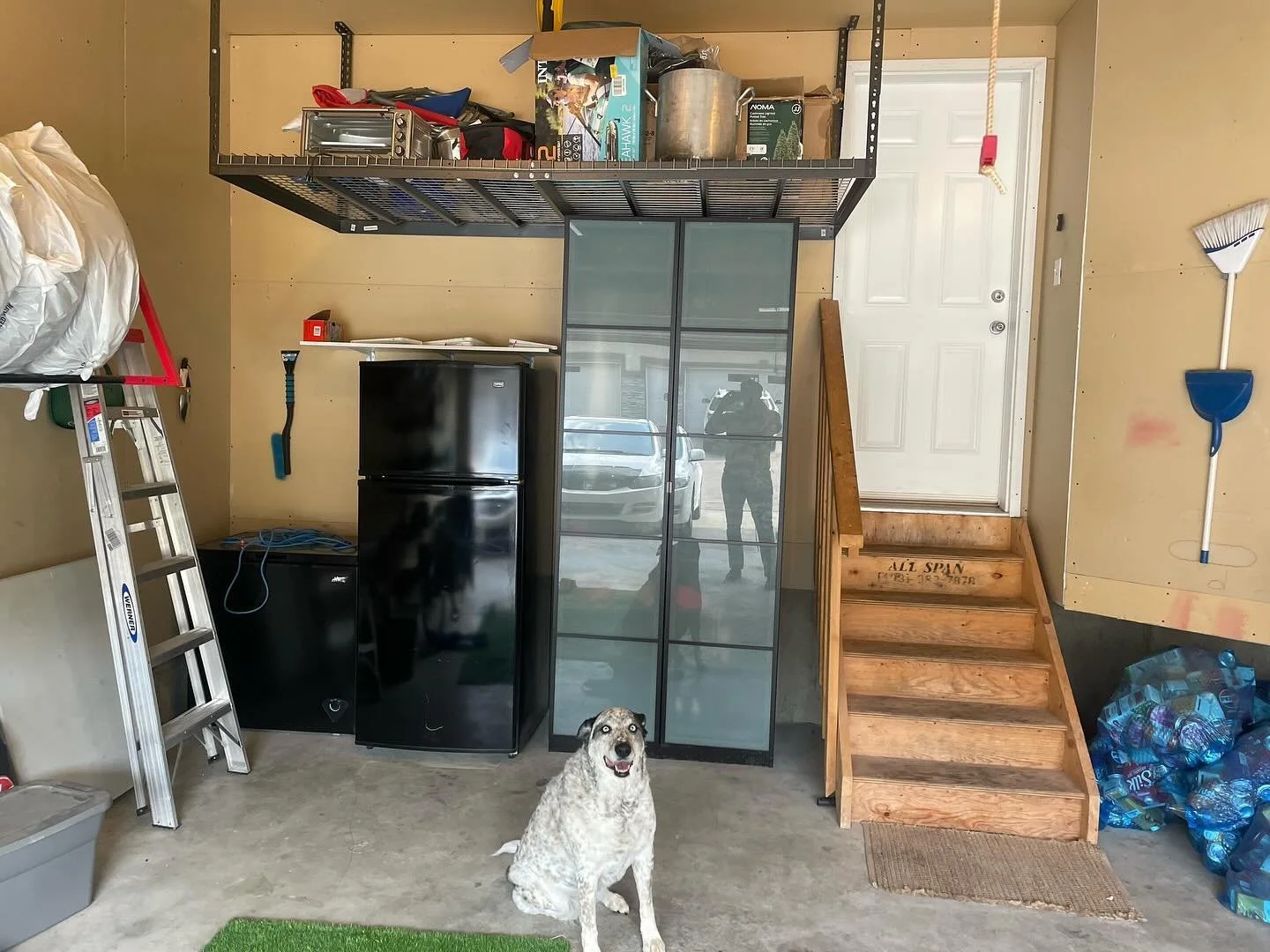 Ceiling rack install complete&mdash;looks like Addi gives her paw of approval! 🐾 Organized and ready for action.