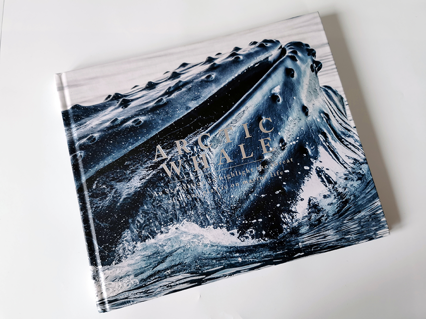 Artic Whale. Coffe-table book. Visittkort. Forskning. Andreas B. Heide. Gunnarshaug trykkeri. Stavanger.