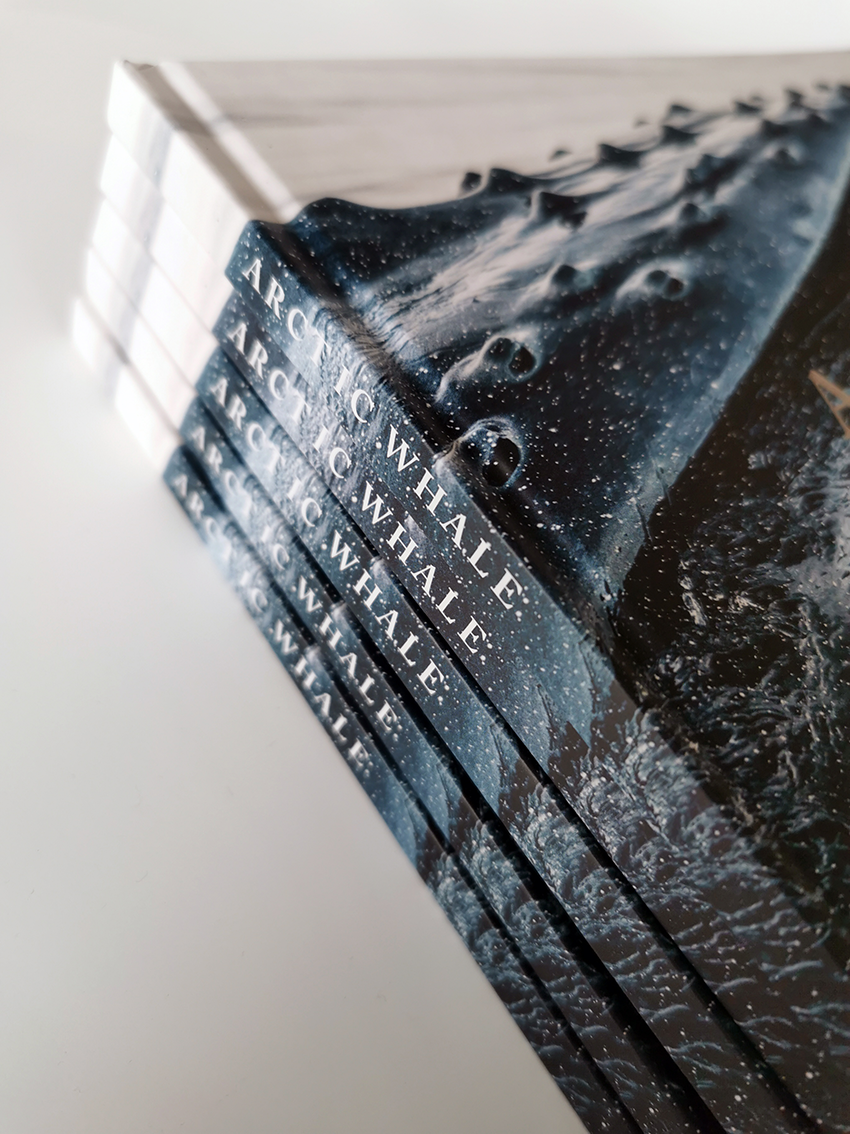 Artic Whale. Coffe-table book. Visittkort. Forskning. Andreas B. Heide.