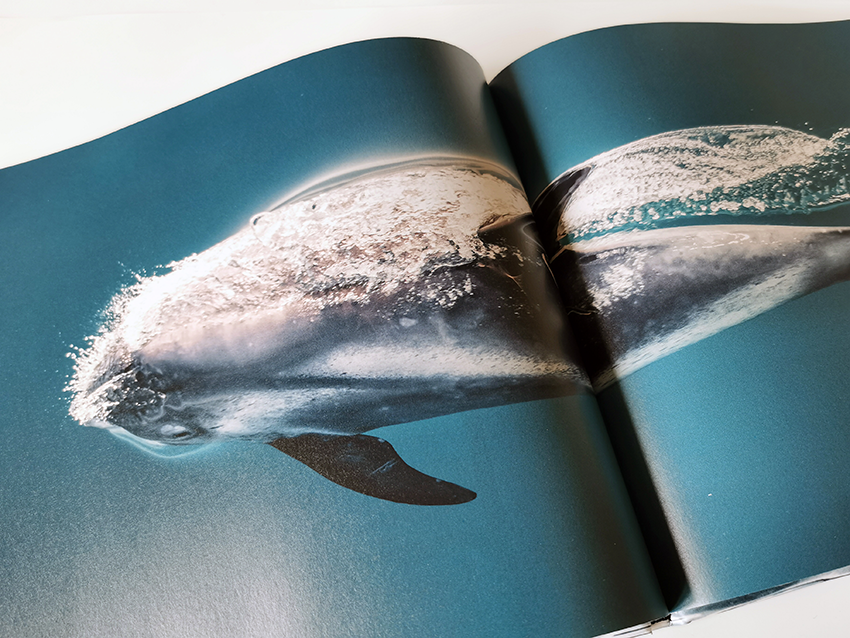 Artic Whale. Coffe-table book. Visittkort. Forskning. Andreas B. Heide. Gunnarshaug trykkeri. Stavanger.