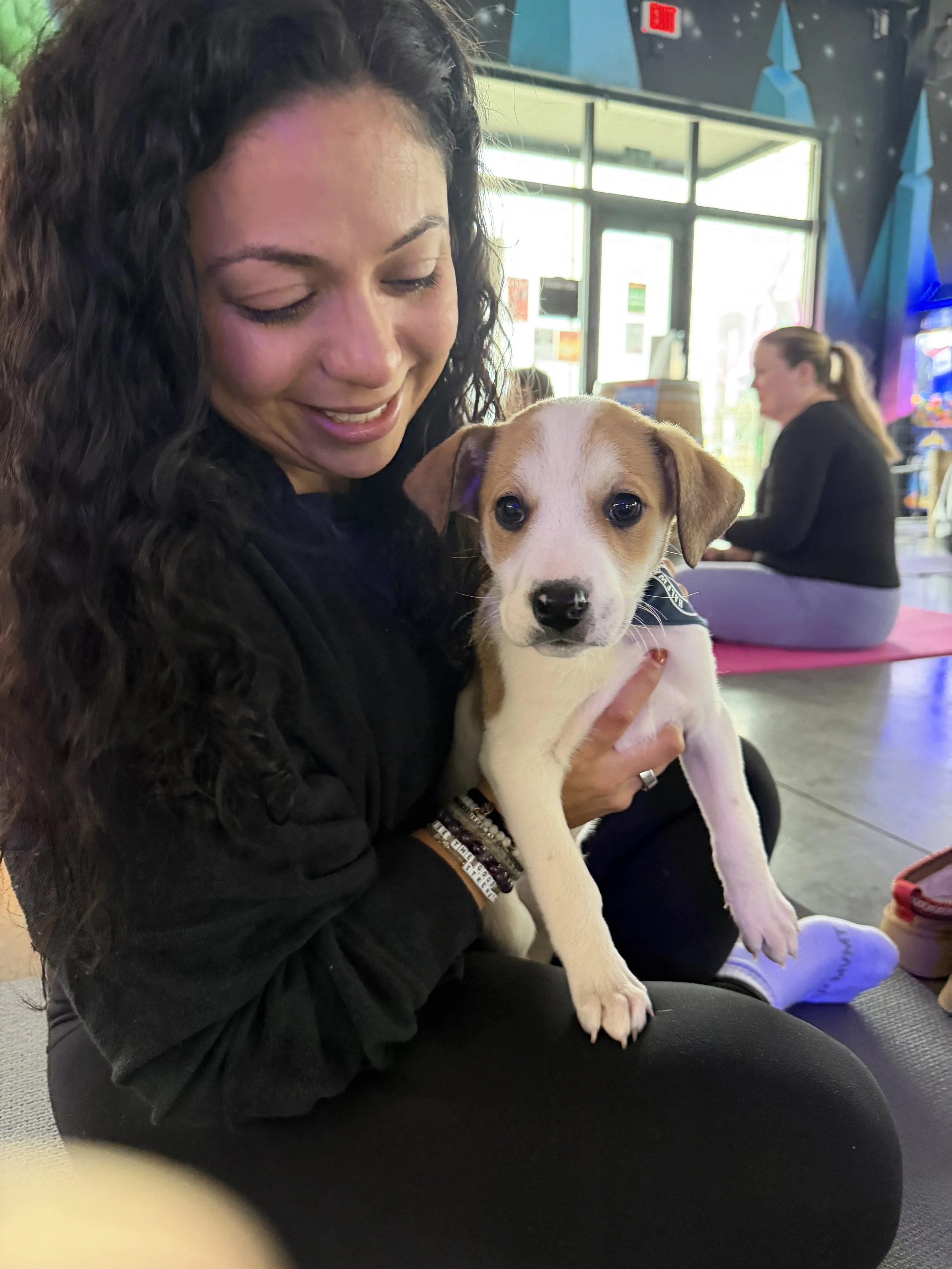 Private practice marketing