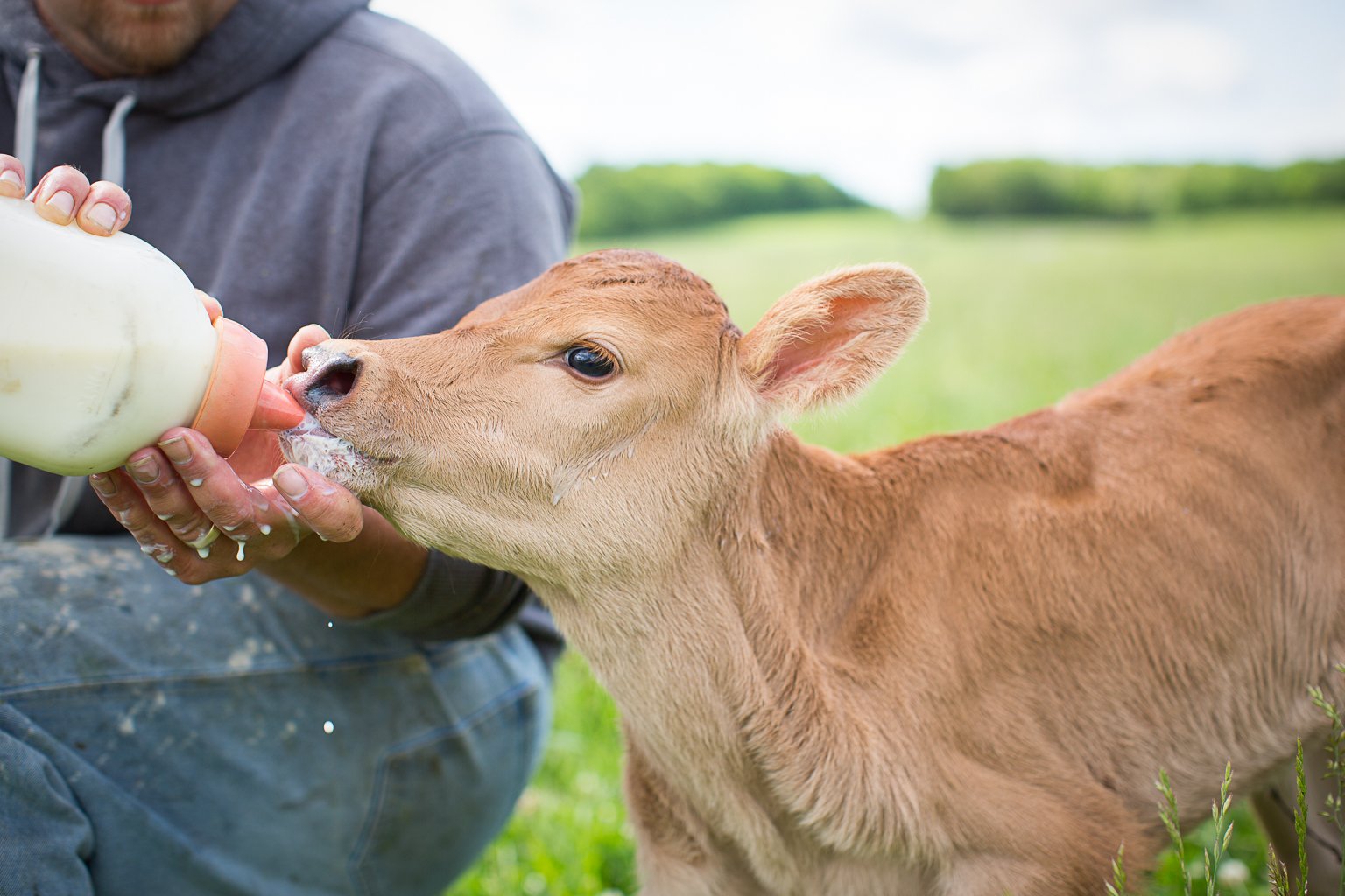 The Faces Behind the Milk