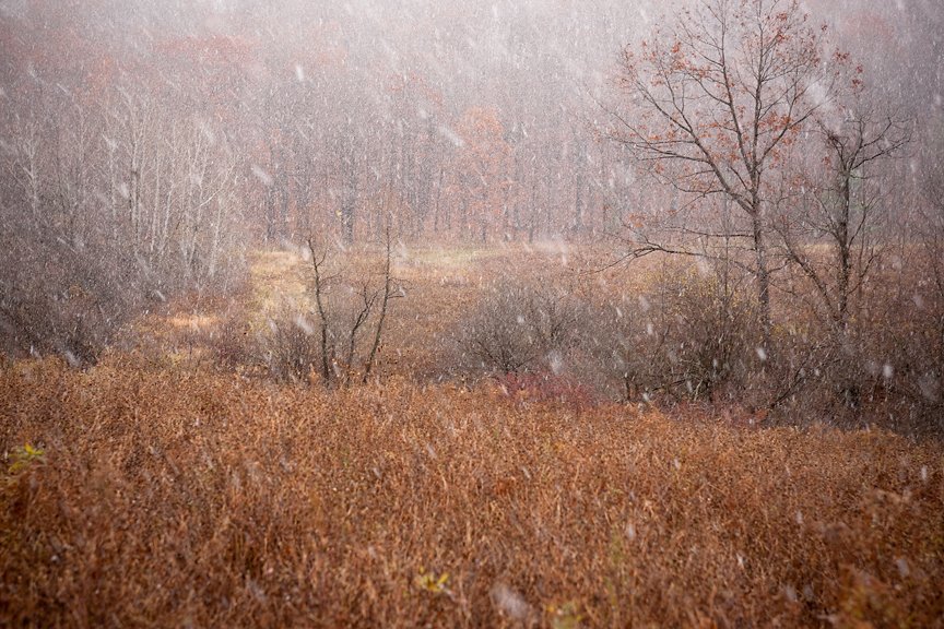 Winter's First Whispers