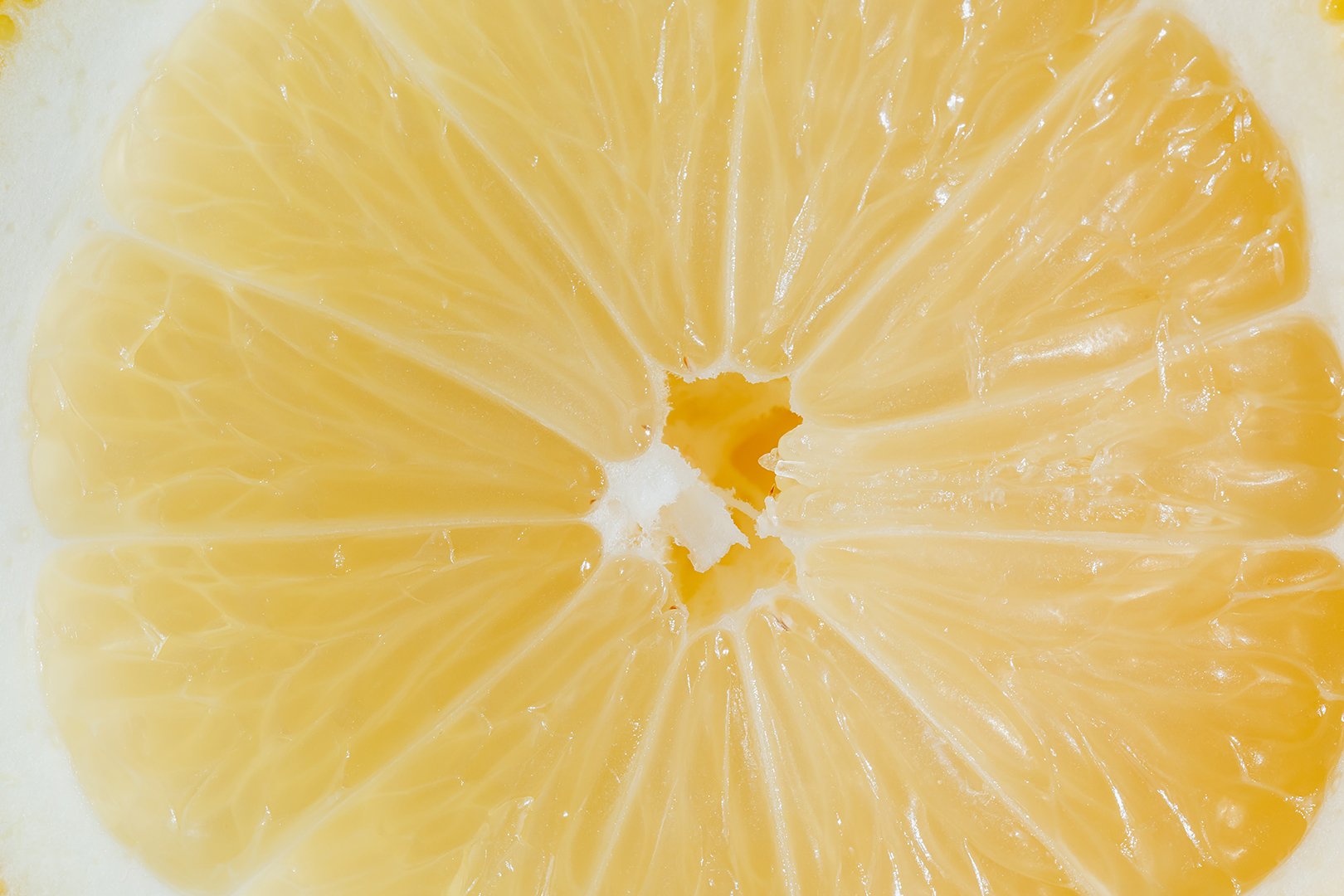 Closeup photo of a juicy lemon slice.
