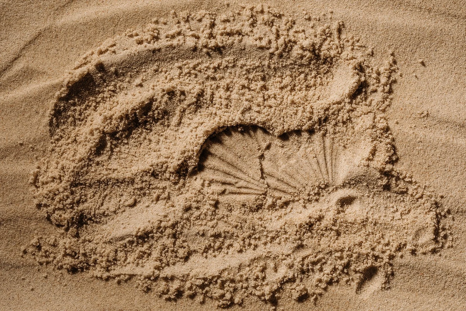 Beautiful beach sand with seashell impressions.