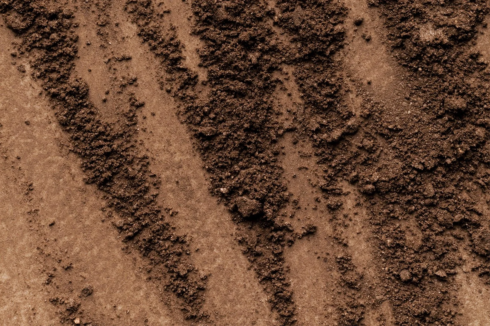 The Reality Behind Skin Detoxing