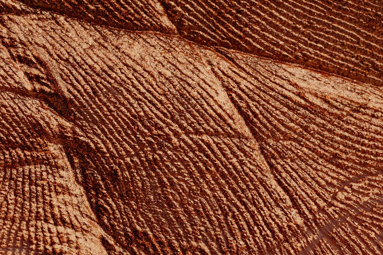 Macro texture of metallic bronzer makeup on skin.