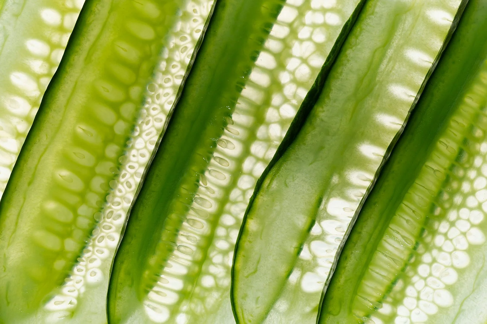 Artfully arranged cucumber slices backlit on a white background.