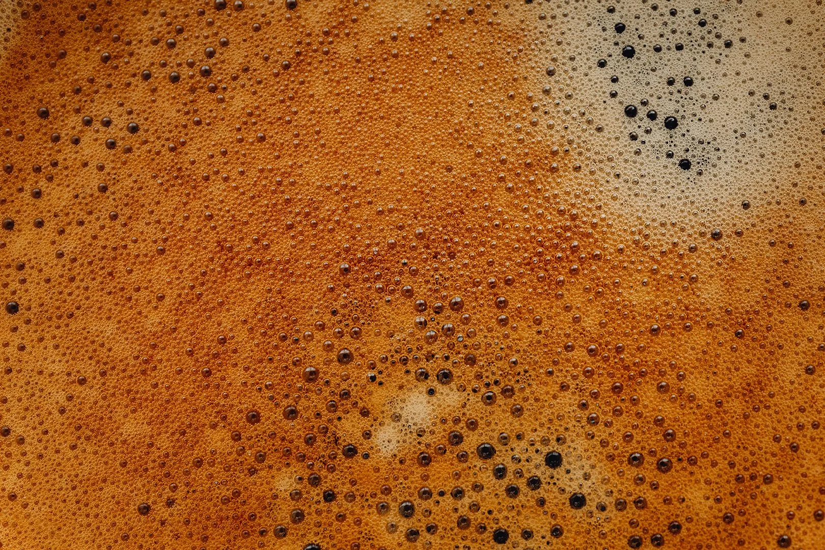 Closeup photo of bubbly black tea.