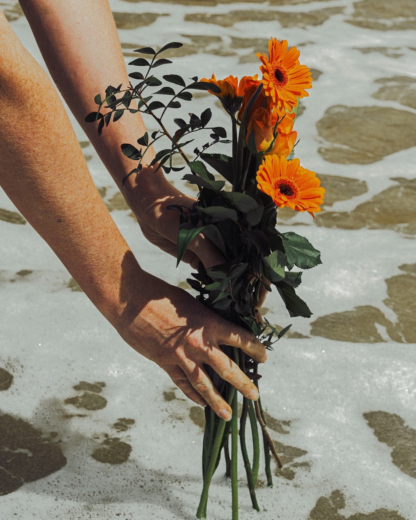 Quand les fleurs fanent et s&rsquo;endorment paisiblement, elles r&eacute;unissent toutes leurs forces pour rena&icirc;tre un jour, sous une forme nouvelle. 🥀 

#tous1 #toussaint #photooftheday #flowers #model
