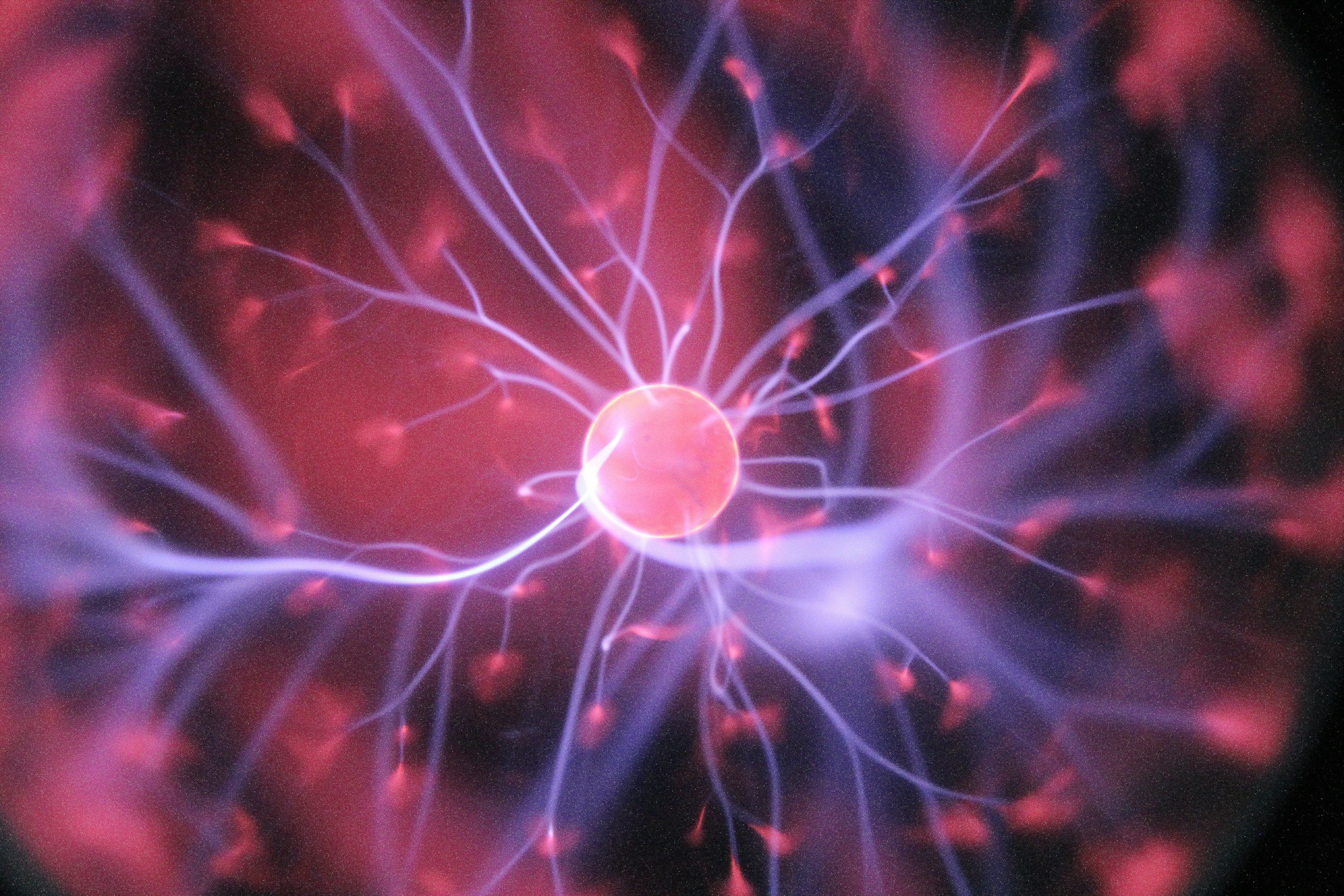 What part of the brain does alcohol affect?