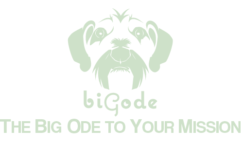 igode Inc. – Award-winning strategic brand storytelling and institutional awareness video production.