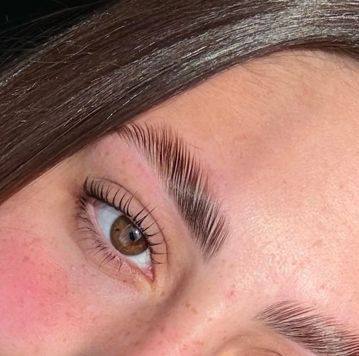 best brow lamination and tint, omaha, ne