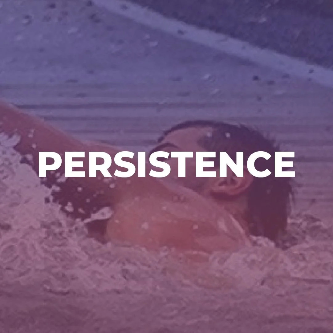 Persistence