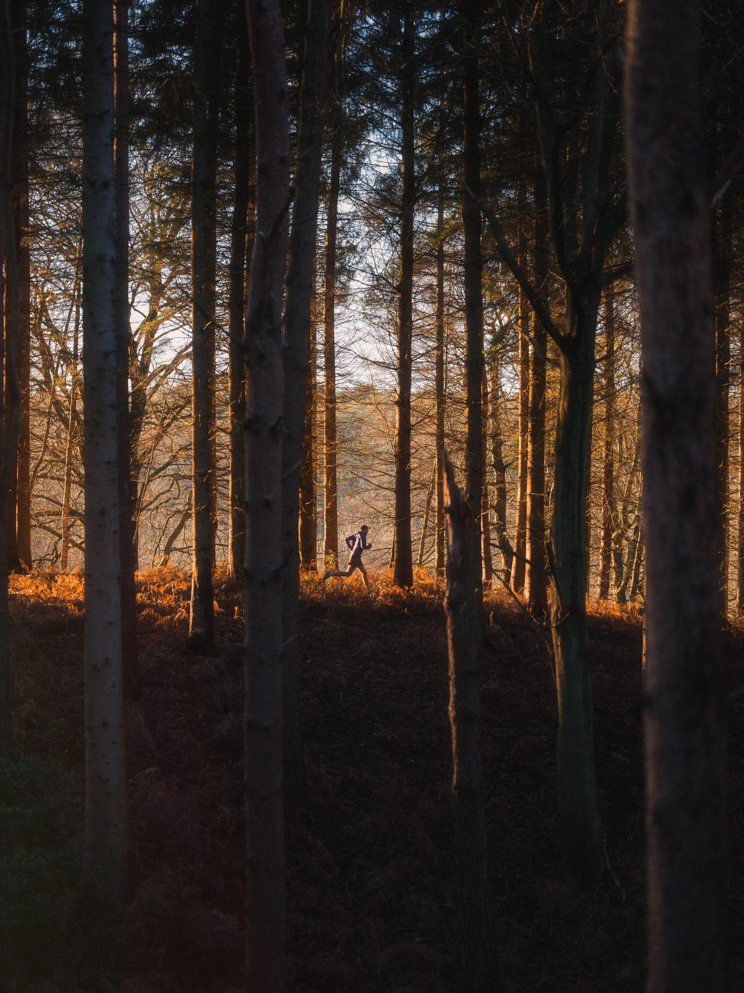 Merrell _DSF0282. - ps web editjpg.jpg