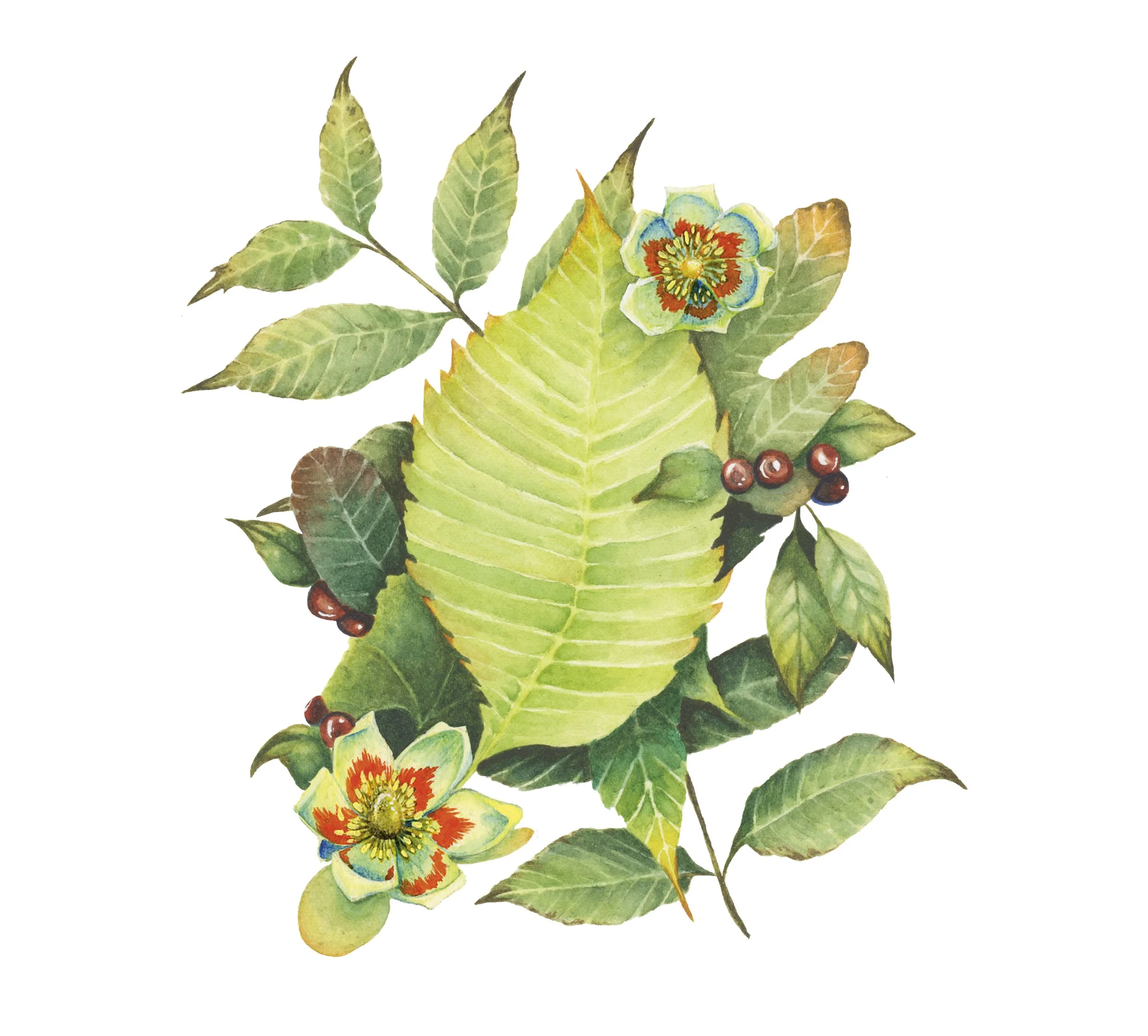 Save the Date Invite 2.jpg