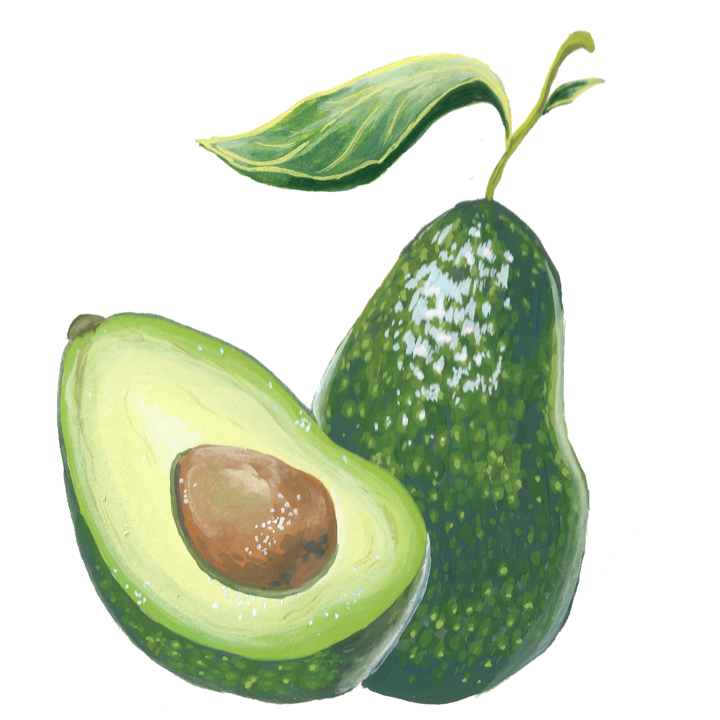 avocado.png