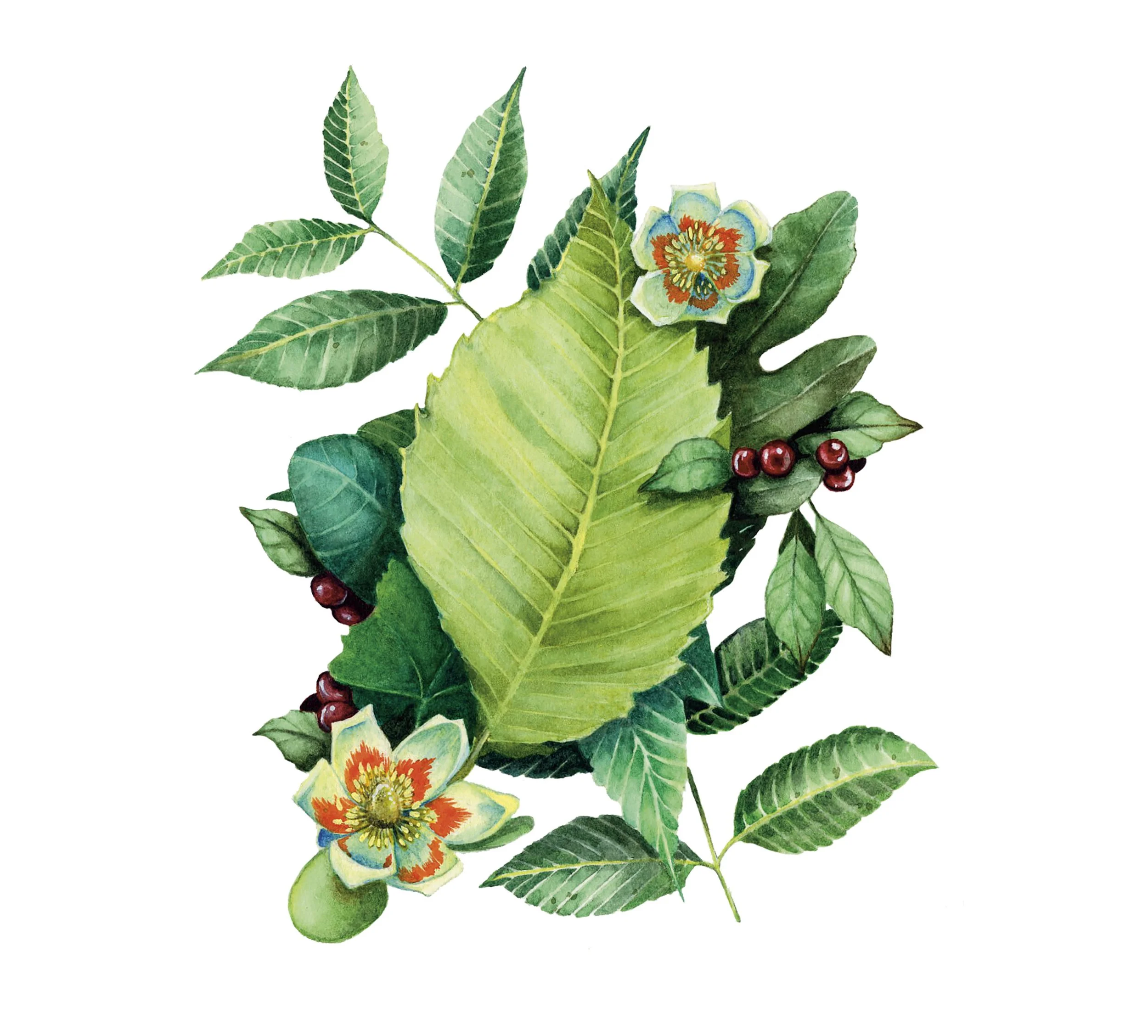 Save the Date Invite.jpg