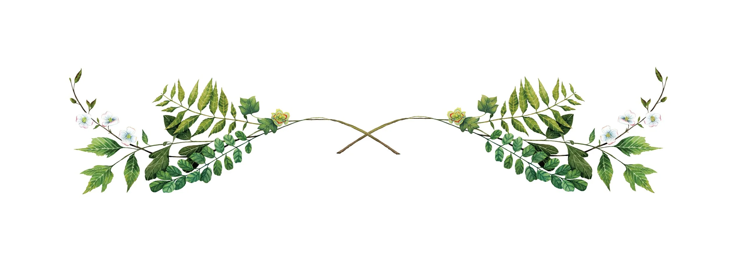 Website Horizontal.jpg