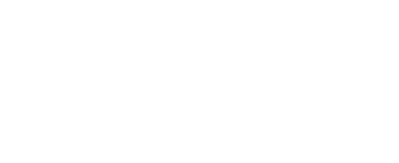 MobilDetail