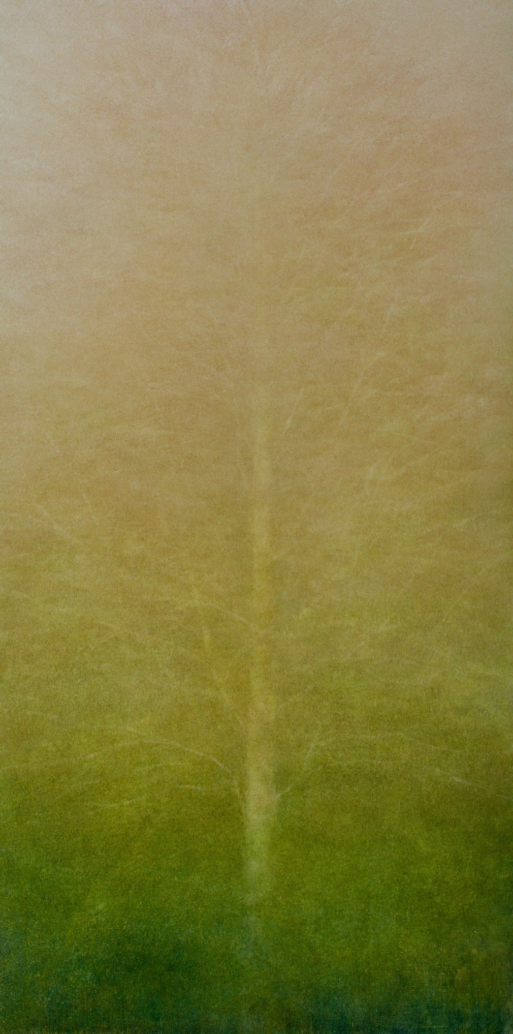 Fading Passion