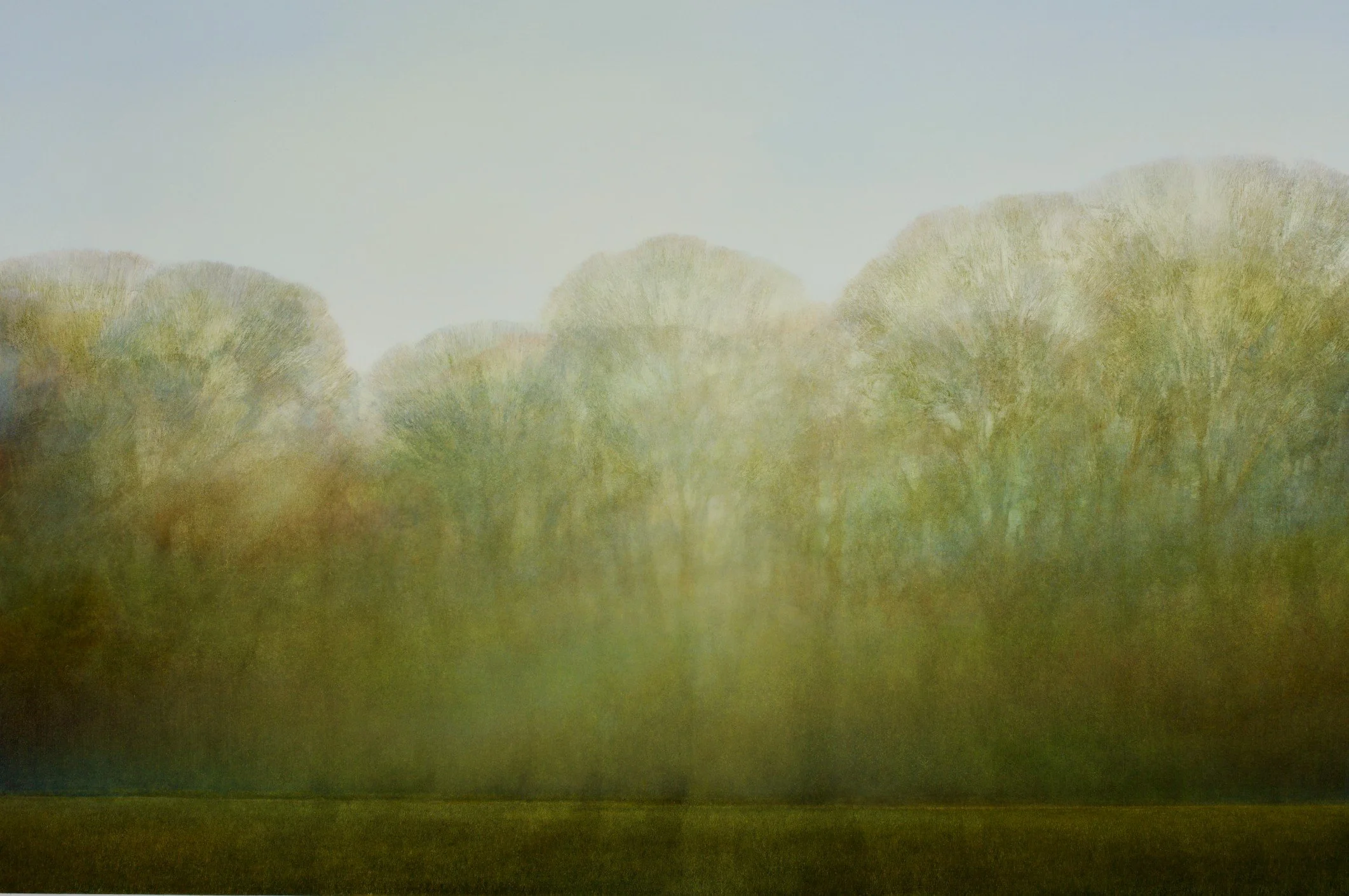 Forest Alchemy